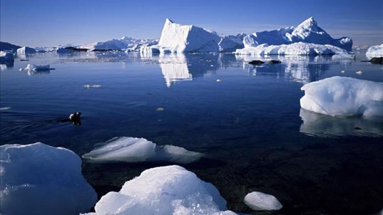 南极洲海冰面减少至40年最低值